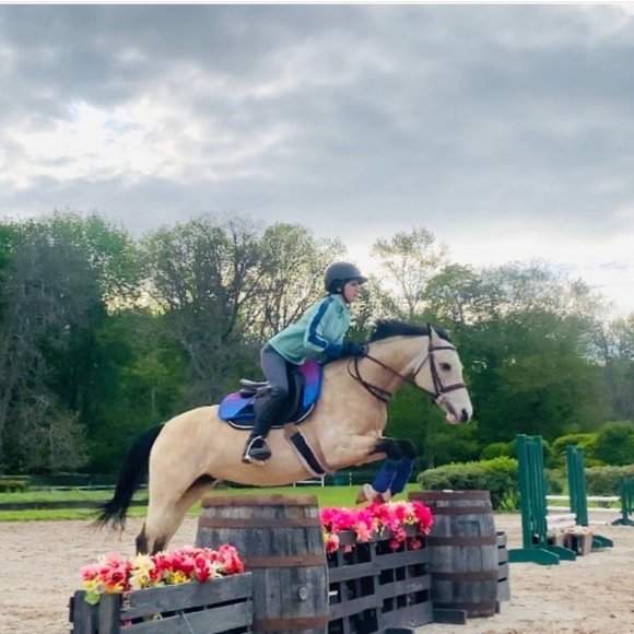 Meet your Posher, Selma - Picture 3 of 4